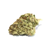 *DEAL* GORILLA GLUE #4 [AA+] HYBRID 22% THC (Buy 1 oz and get 2nd oz for $1)