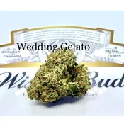 ** WEDDING GELATO - Hybrid - $180 Oz Sale !!