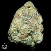AAA | Critical Purple | 28G Deal | Indica GAS