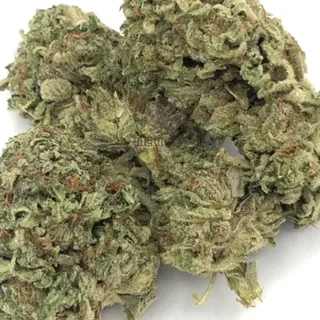 ⚜⚜ HINDU KUSH⚜⚜   THC-24-32%  ▪Indica▪   ⭐$100/OZ's!!⭐