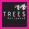 Trees Hollywood