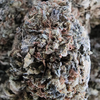 HIGH CITY CANNABIS 