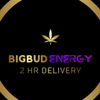 bigbudenergy