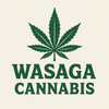 WASAGA CONNECTION