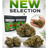 Canna-corp-canada.com