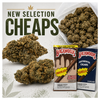 Canna-corp-canada.com