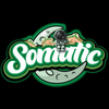Somatic