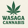 WASAGA CONNECTION