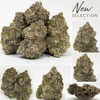 California Buds