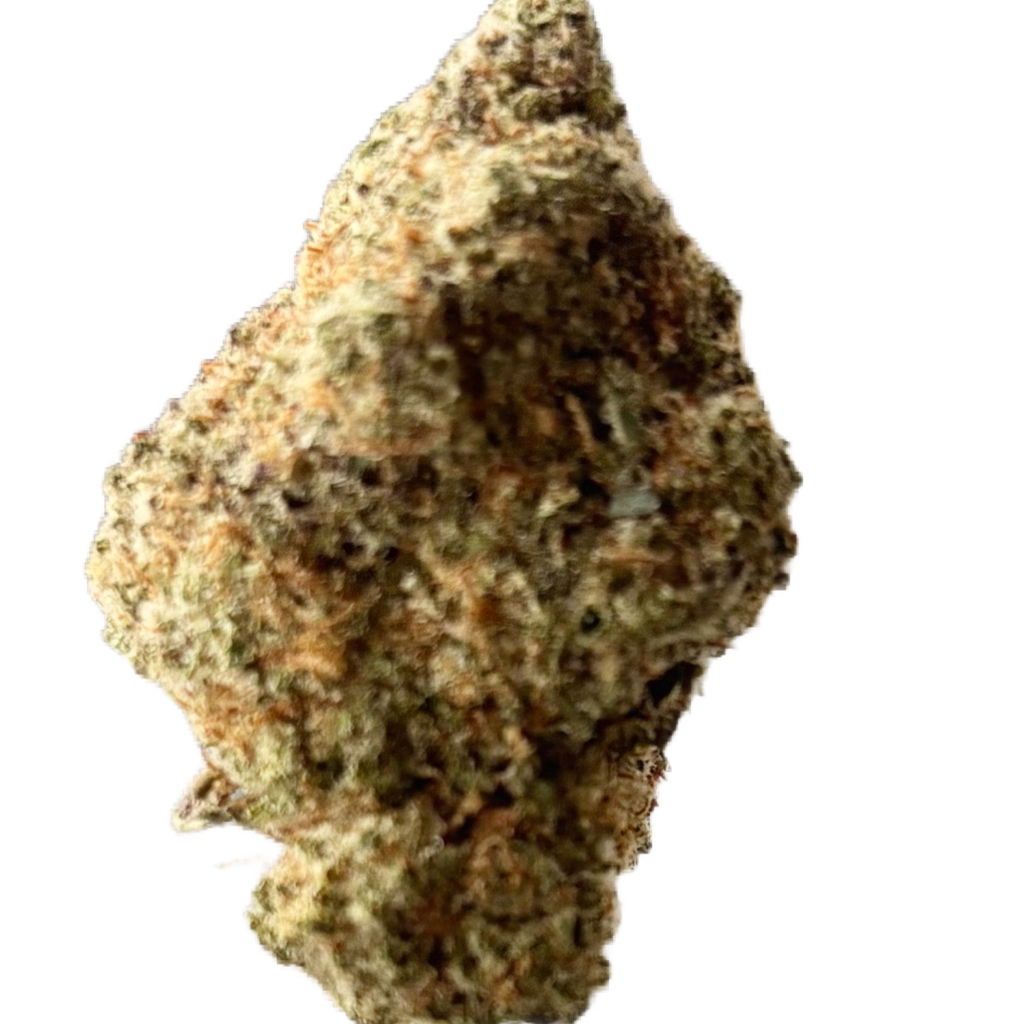 ********Animal Cookies