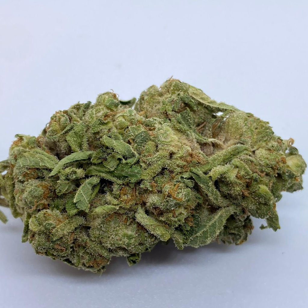 $100 OZ - Donny Burger