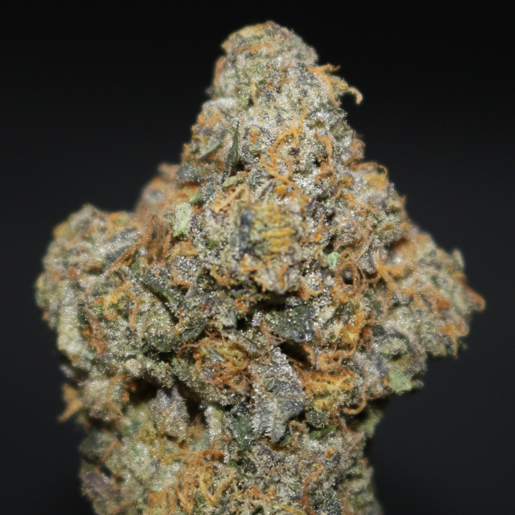 AAA+ | GREEN DOPAMINE BY MTG GENETICS - 7G