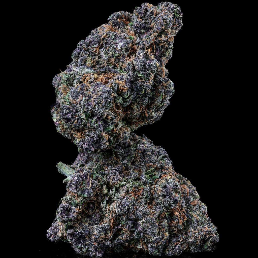 BC Garlic Cake – 14G 90$ – Sativa Dominant l