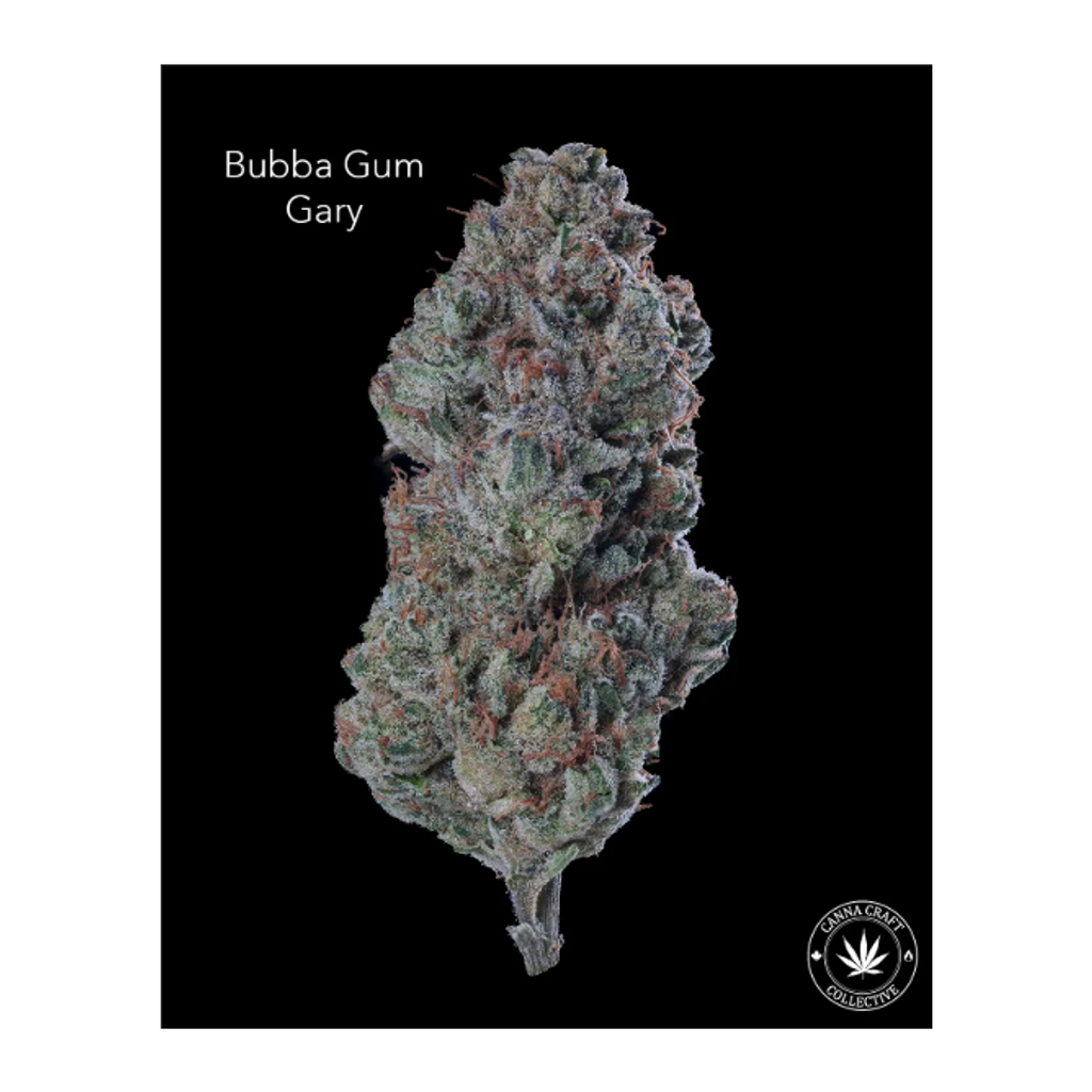 AAA+ - BUBBA GUM GARY