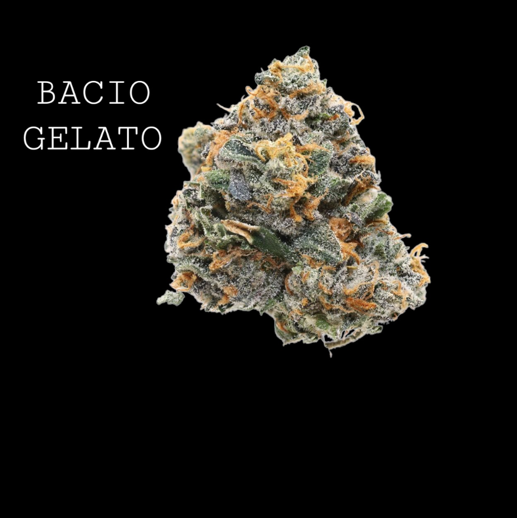 BACIO GELATO