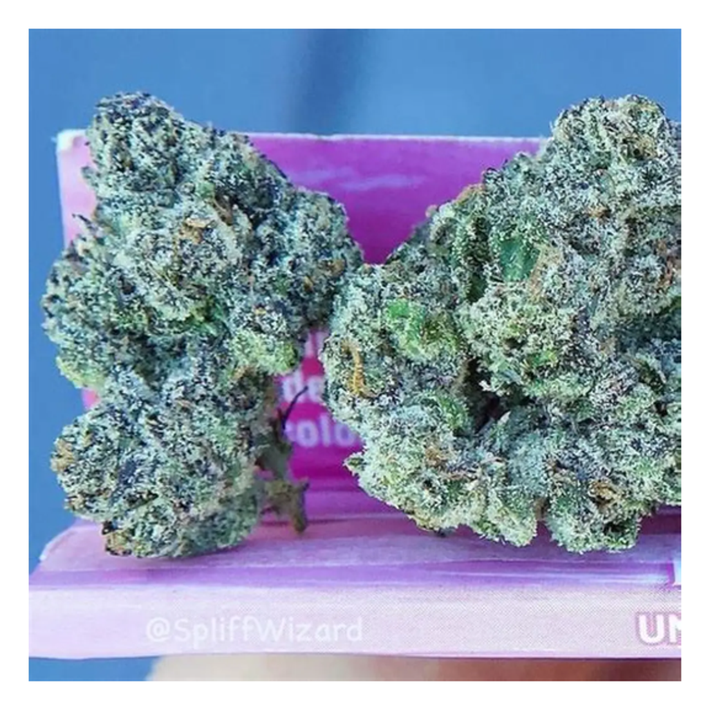 Exxon Mobile Pink Gas 120$ OZ 