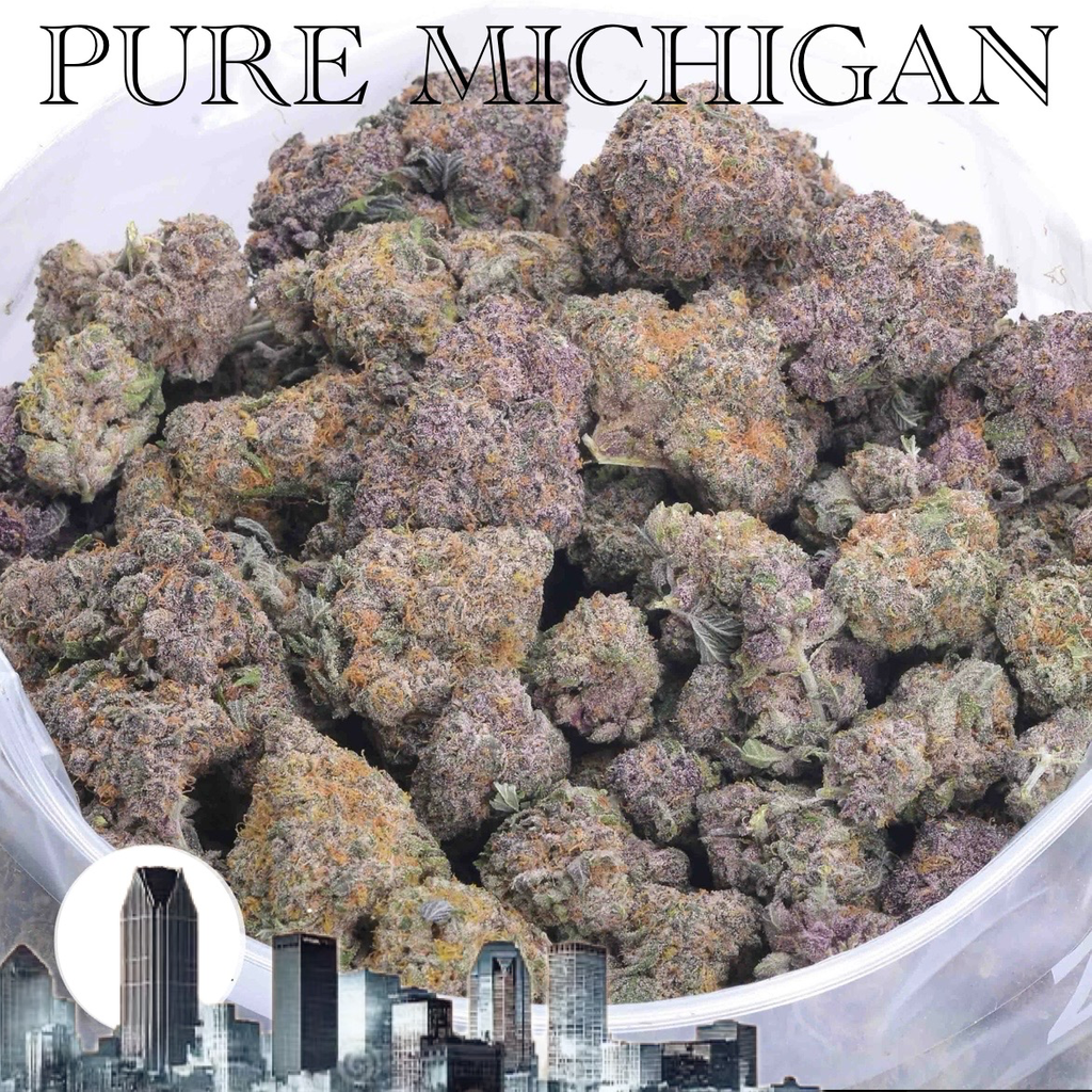 PURE MICHIGAN AAAAA+ CRAFT - 2 FOR $225