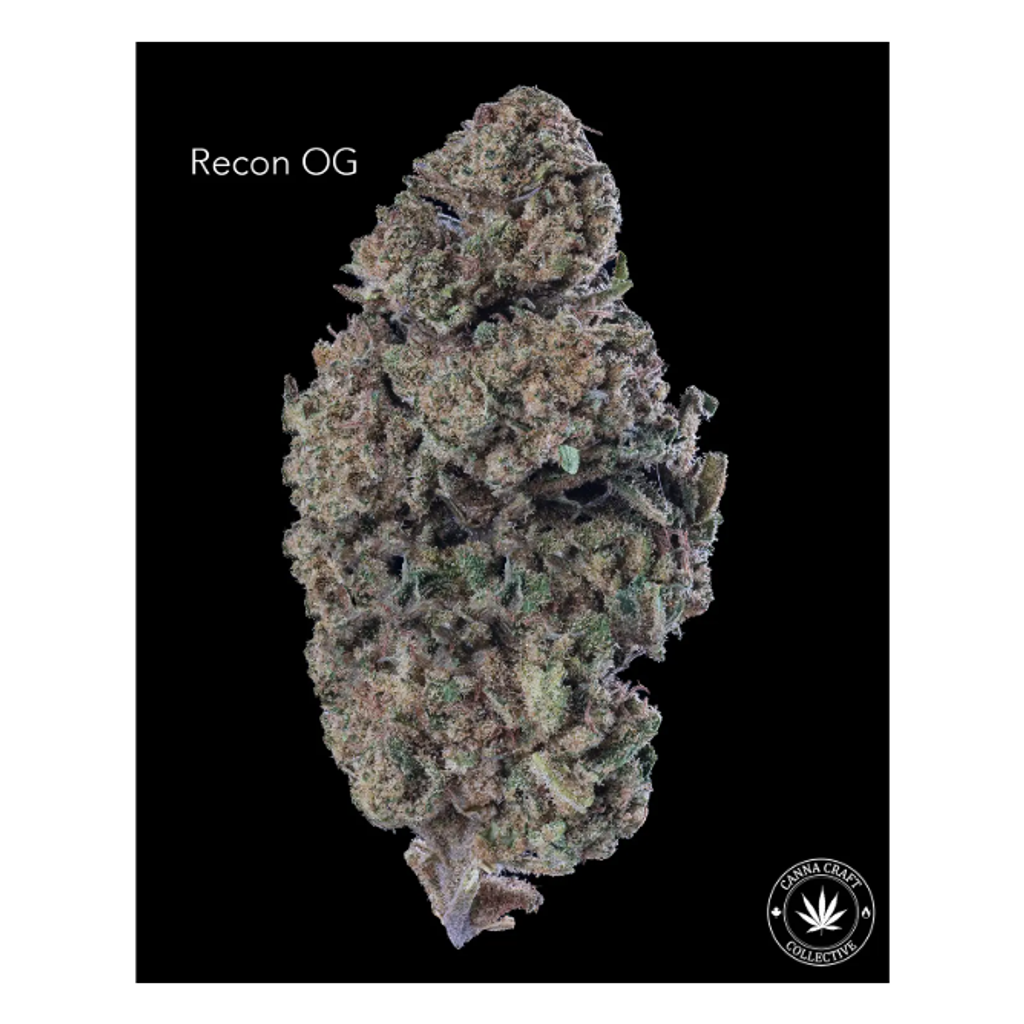 AA - RECON OG
