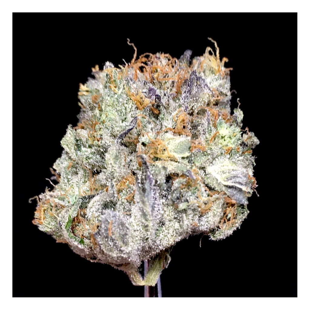 NEW Astro Pink Gas ⛽️ 70$OZ 