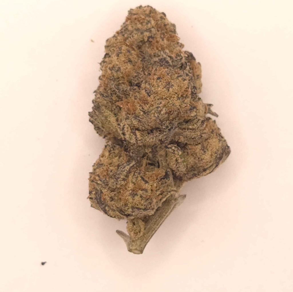 Black Gas