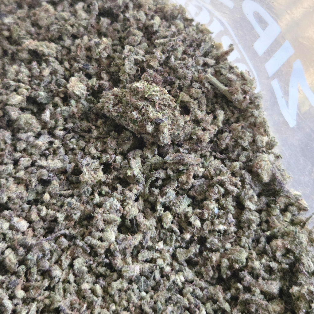 Sativahybrid Busted Blend 2oz/ $80 | No Frillz Cannabis | Leafythings
