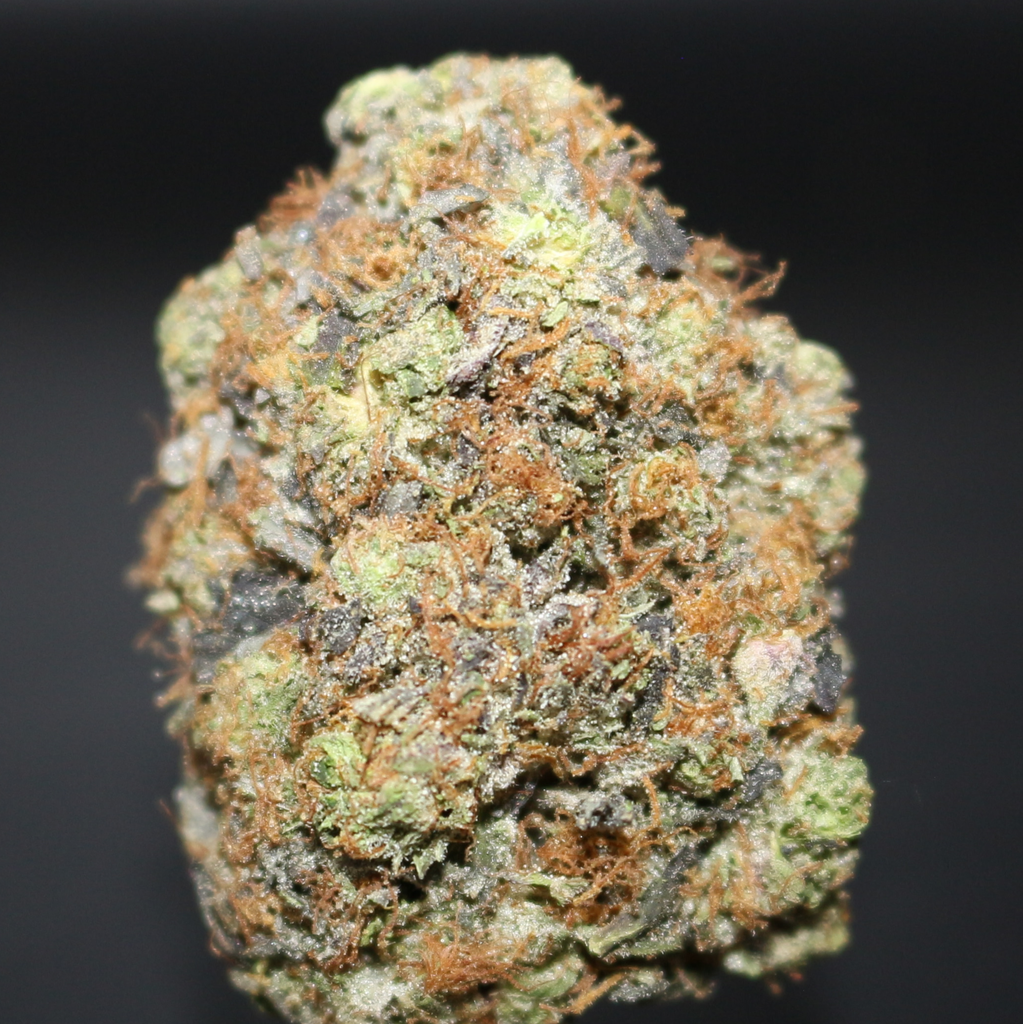 AAAA | BLACK GAS BY ROYAL GARDENS - 7G