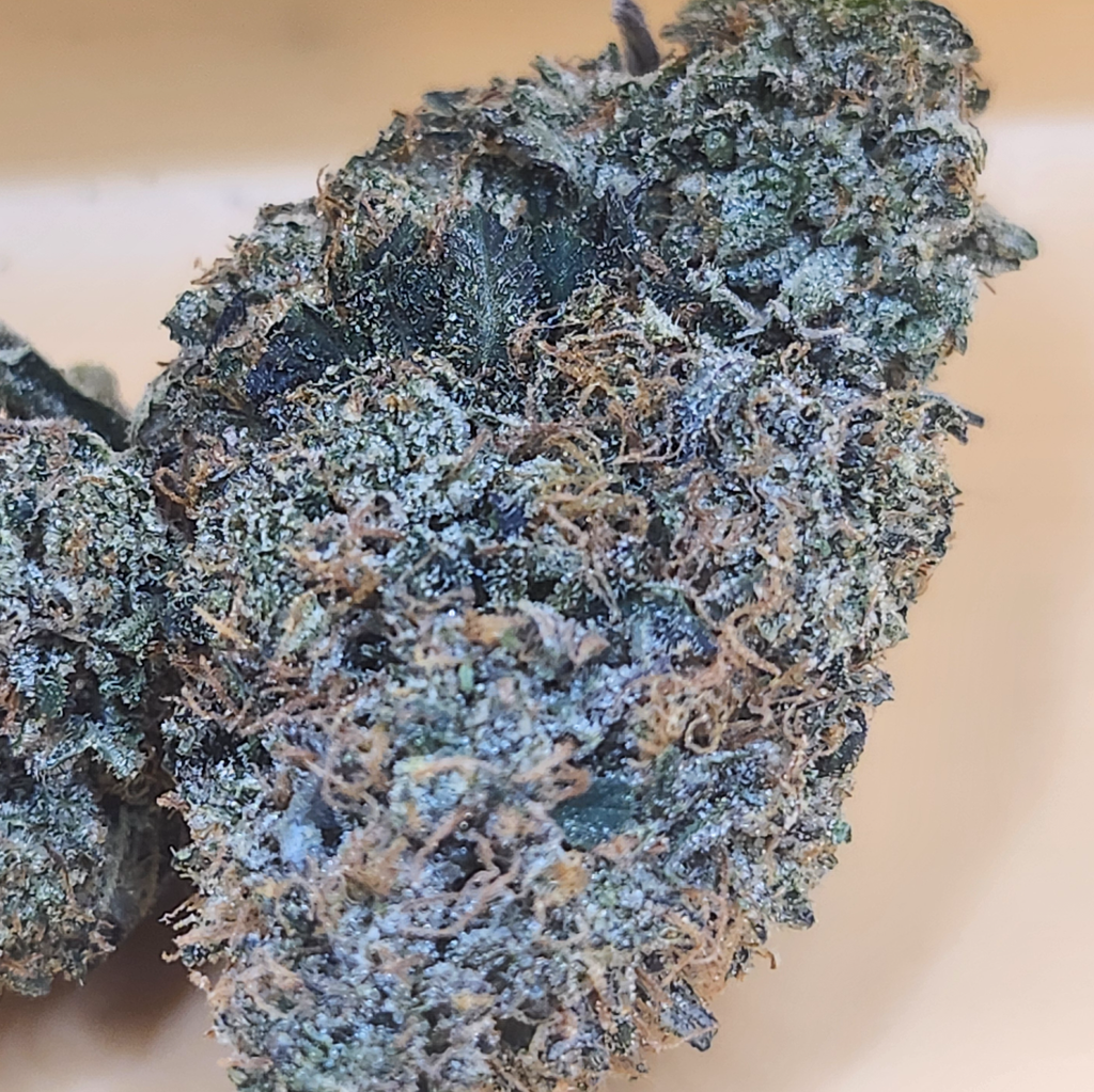 (5 STARS) Gas Face 💯🔥💣⛽️ 2 Oz for 250