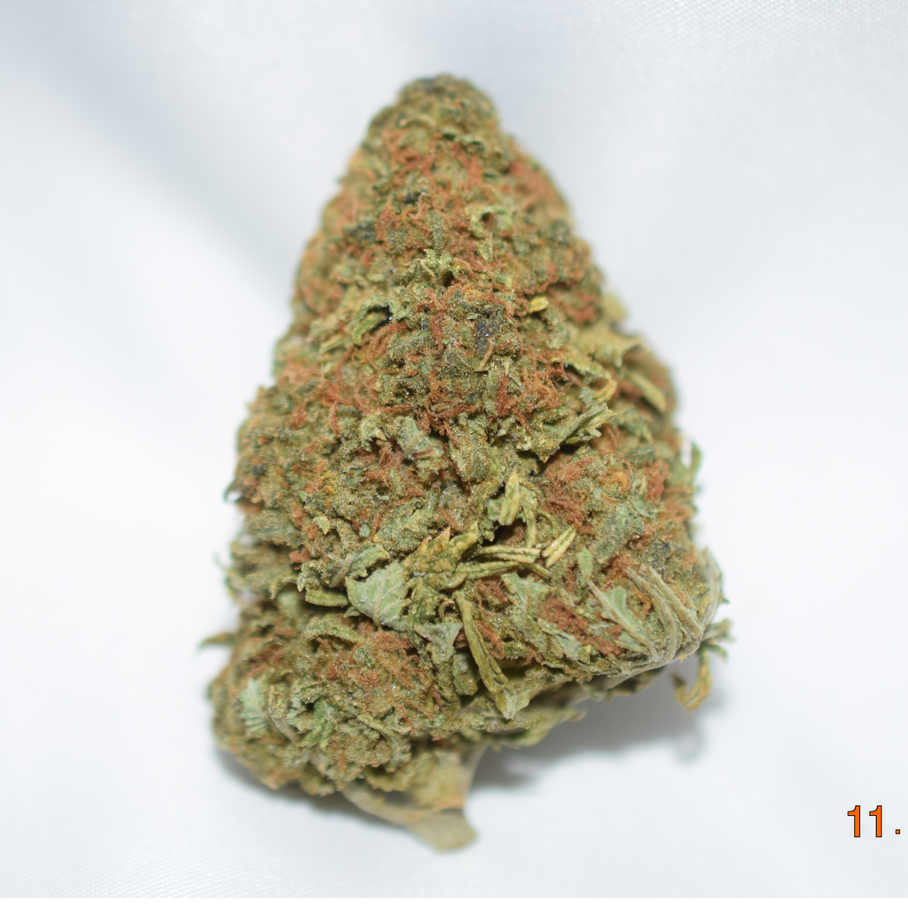 Cinderella 99 Sativa Dom Hybrid AAA