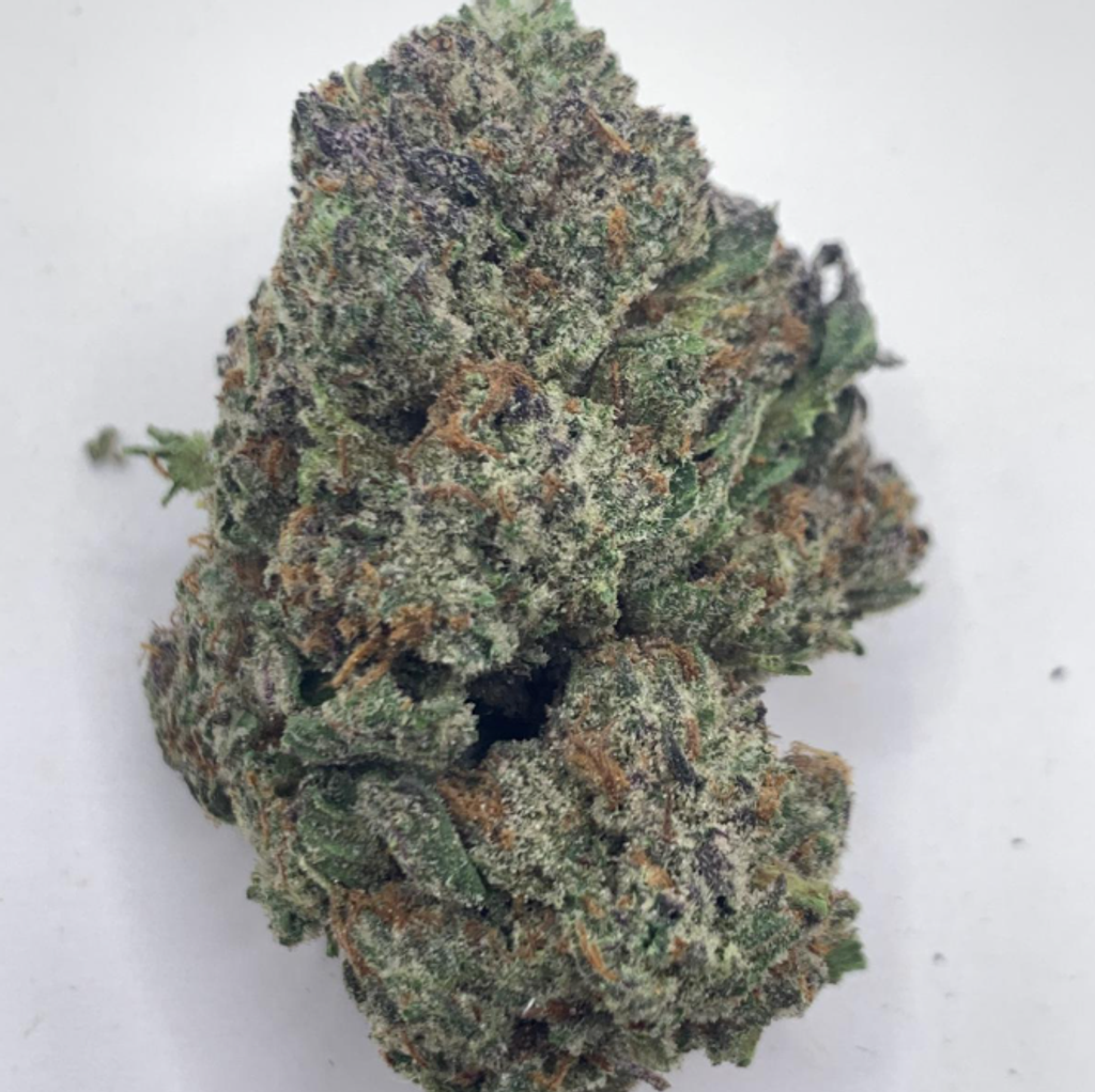 *NEW* Gastro Pop // 2oz for $160