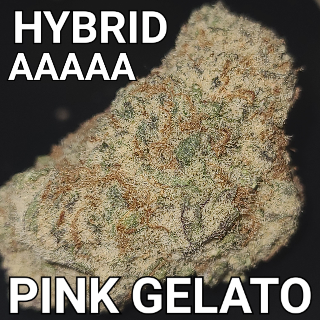 # 68% OFF  6.5⭐ PINK KUSH x GELATO  AAAAA INDICA HYBRID (STICKY STRONG KUSHY) ($85 OUNCE SALE) REG $260