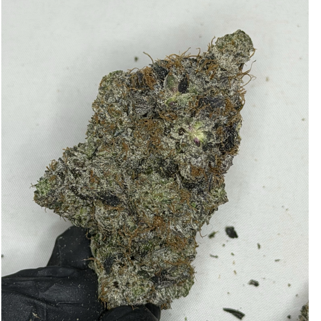 !$115/oz Pink Vito
