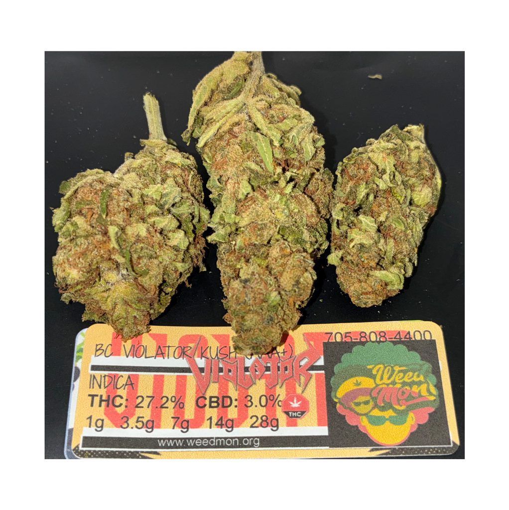 *********NEW BLACK FIRDAY DEAL* BC Violator (AA+) THC: 27% CBD: 0.1%