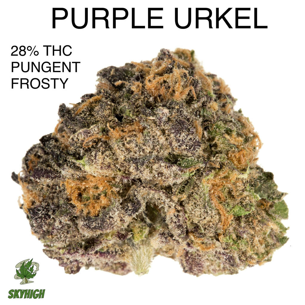 PURPLE URKEL- AAA+ (2 OZ FOR $135) (4 OZ FOR $250) (DENSE/DANK)