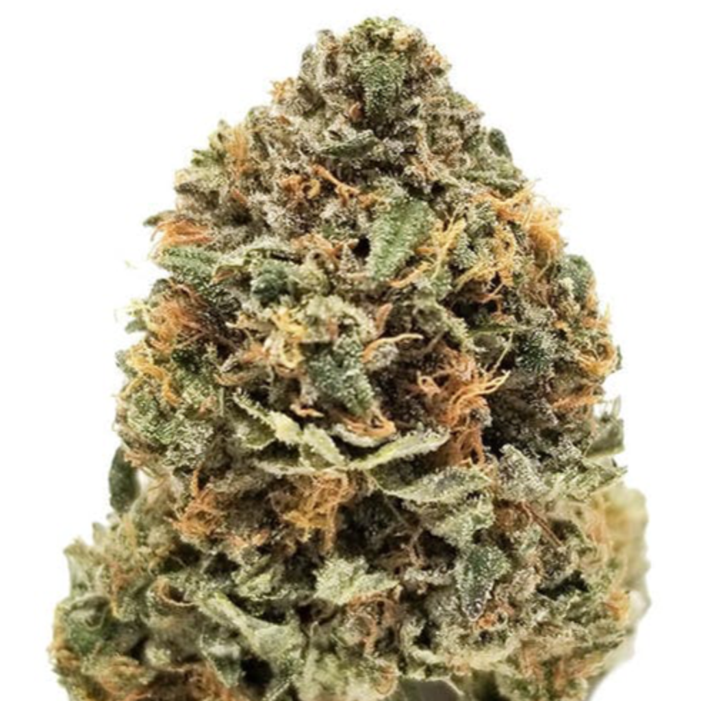 Bubble OG - Premium Quality