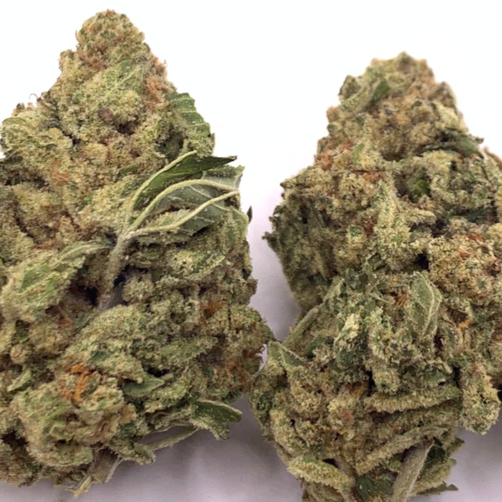 *NEW* Cherry Blossom 3A