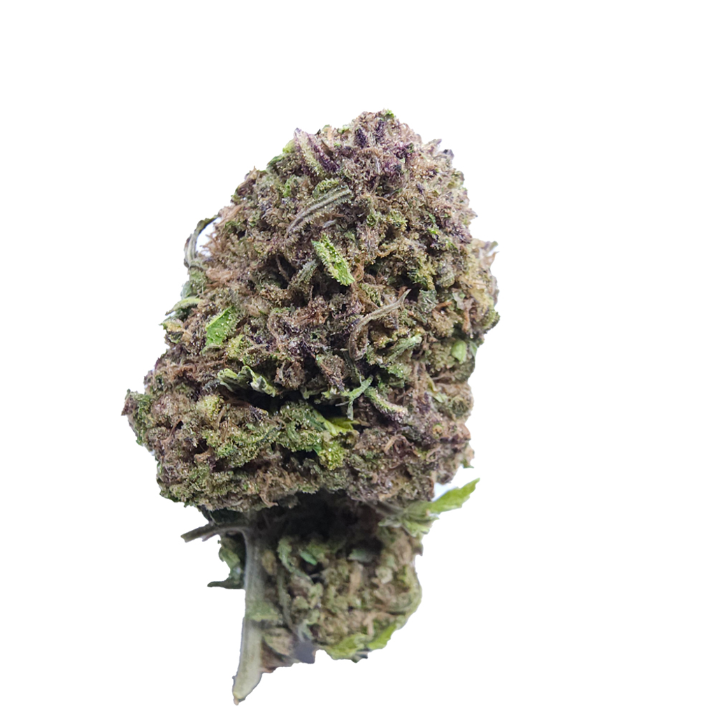 BC (AAA) BLUEBERRY KUSH (20% THC)