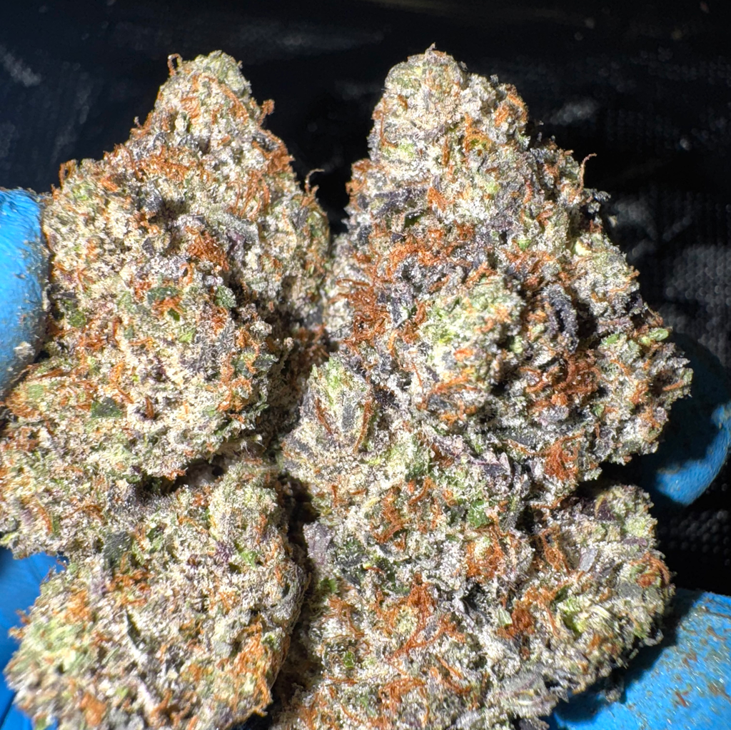 (NEW) Pink Lotus AAAA+ *OZ 170 2OZ 310*