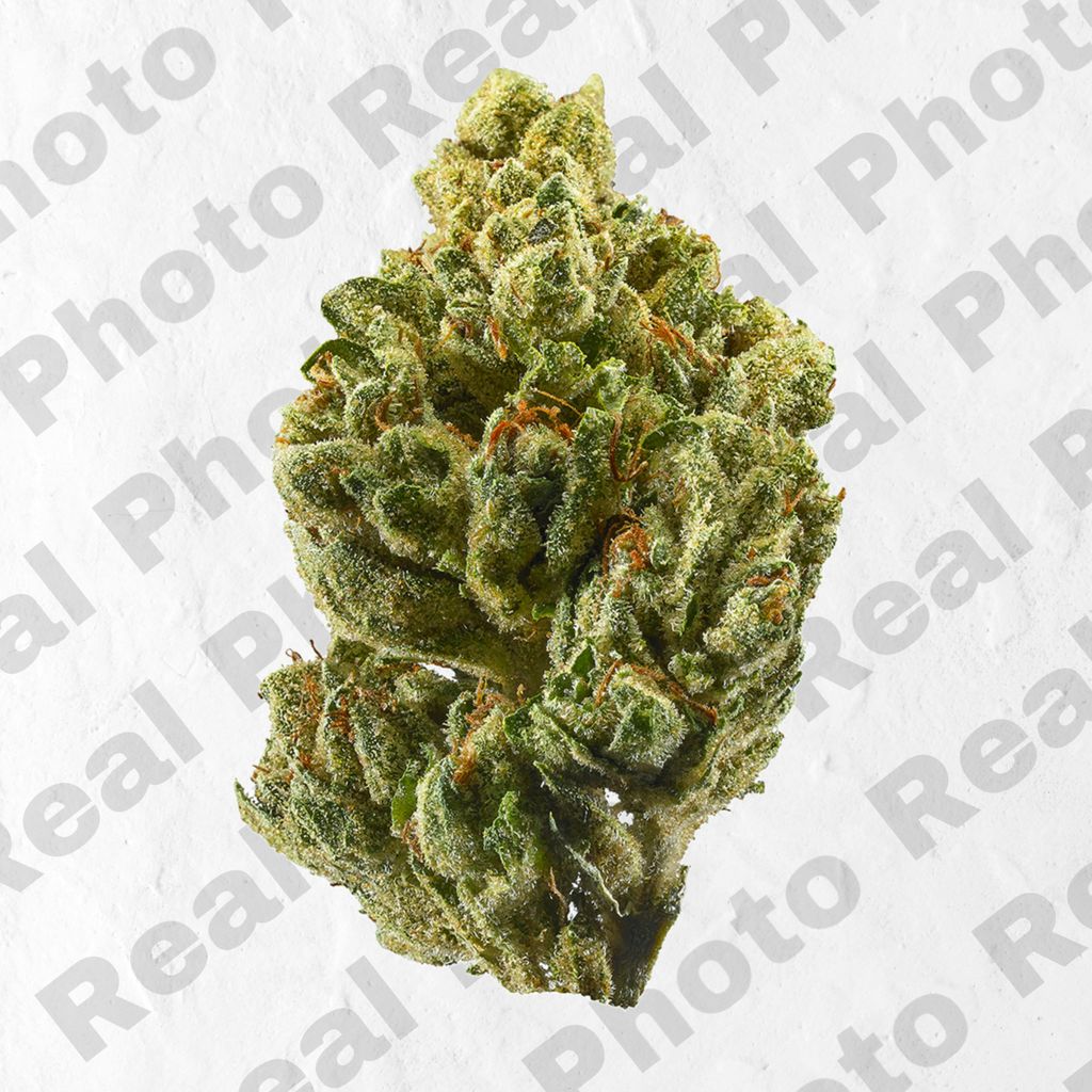 超格安一点 Og - Topshelf Indoor - New Drop - Hybrid | Frostiez トップス
