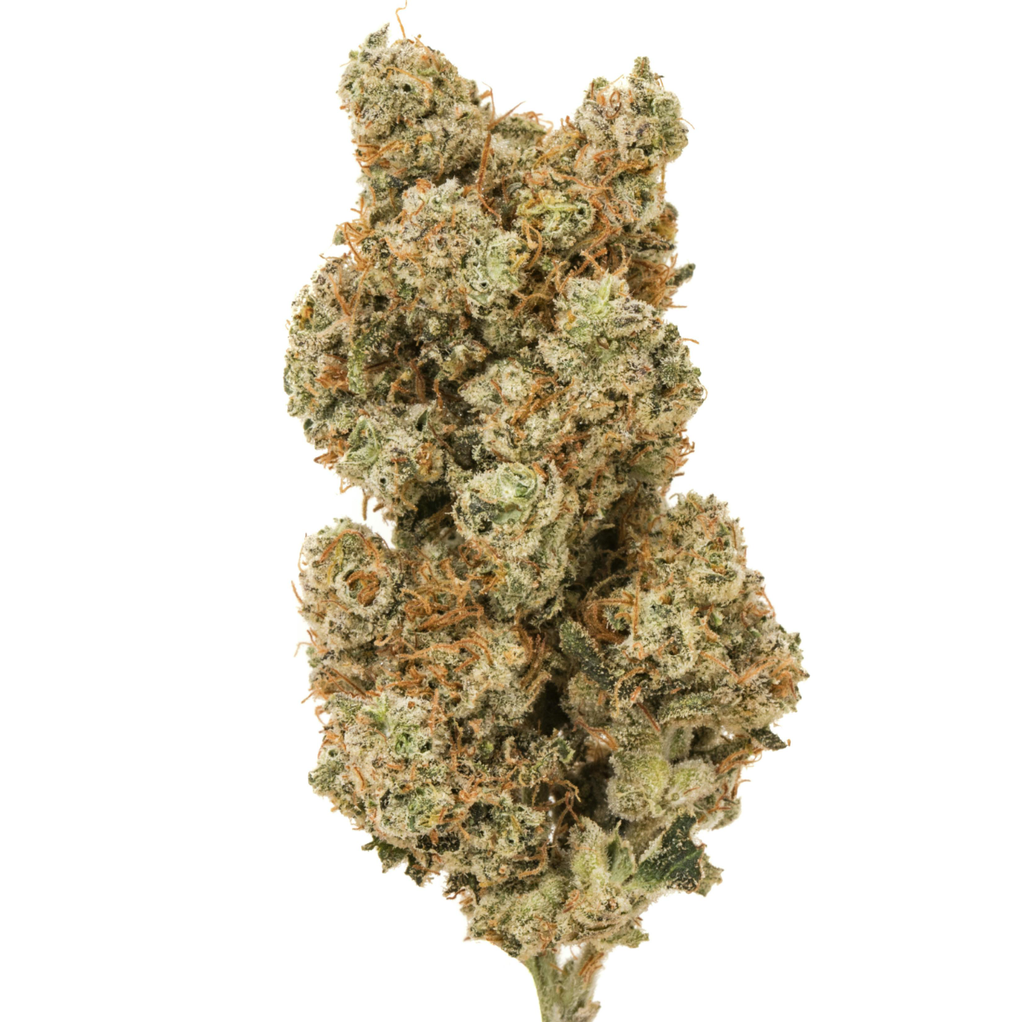 White Widow