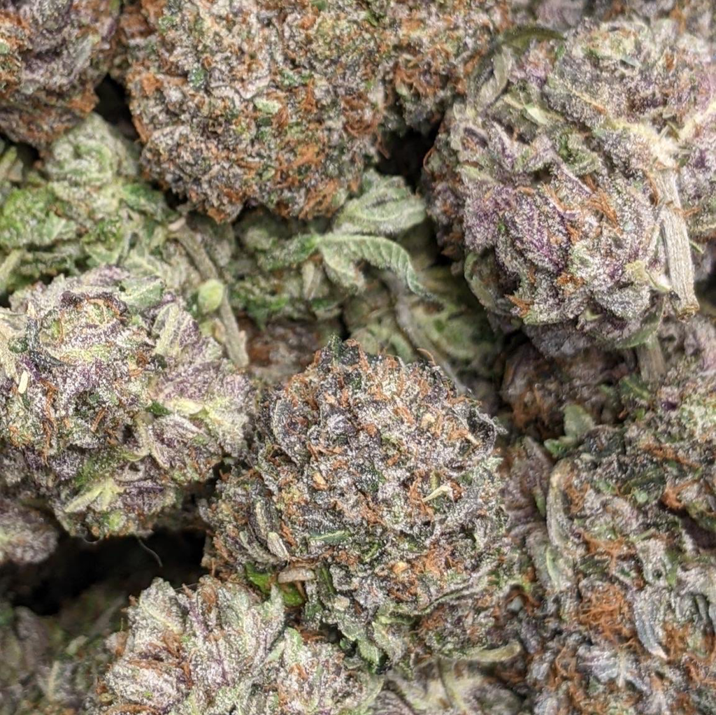 PINK NIGHTMARE AAAA 👻 🎀 