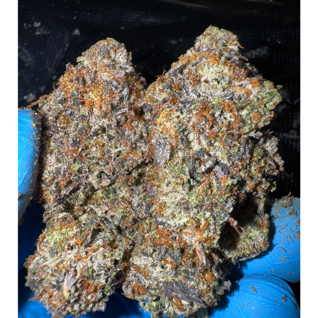 [NEW] LSO Pink Tuna 2.0 AAAA+(5*)