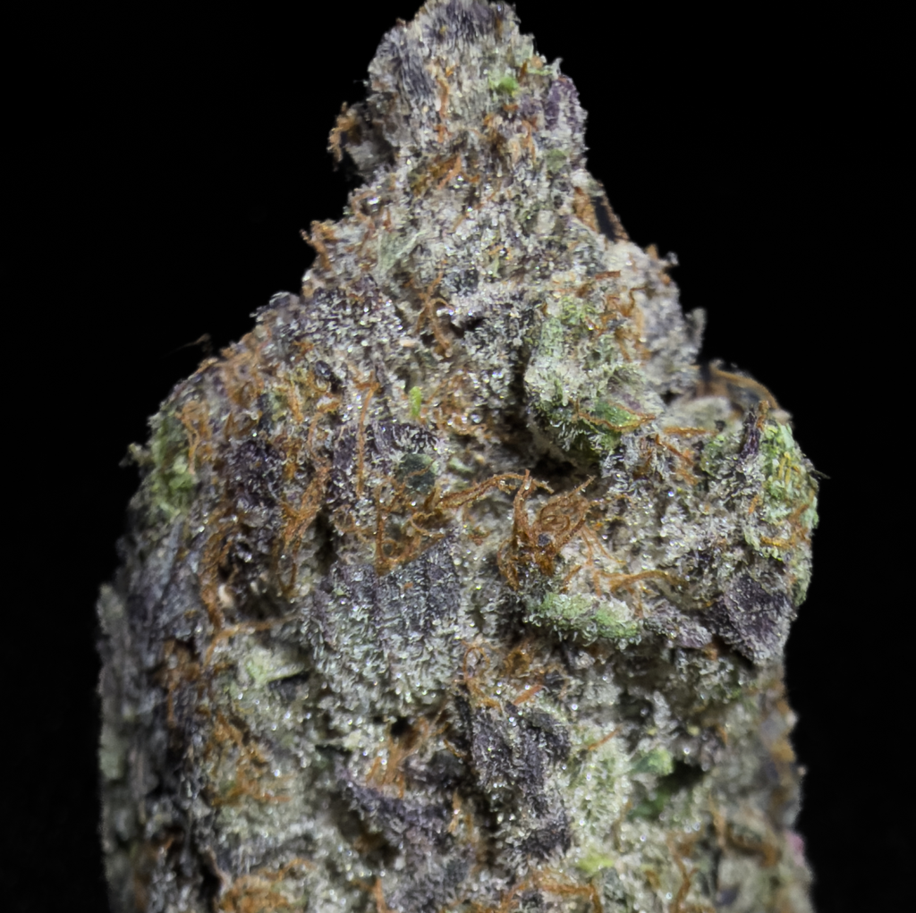 Pink Fire