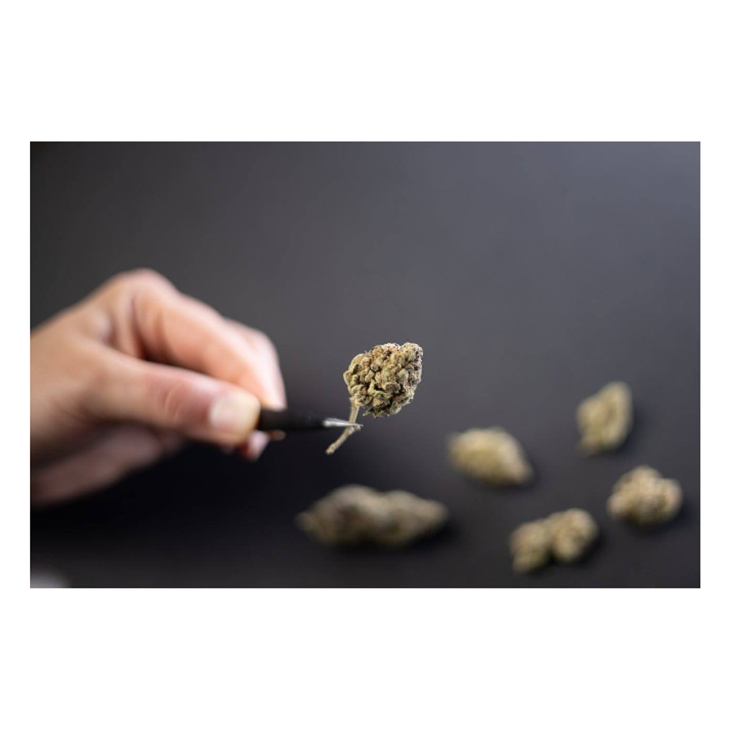 Best Weed Delivery in North York - Top 5 Providers