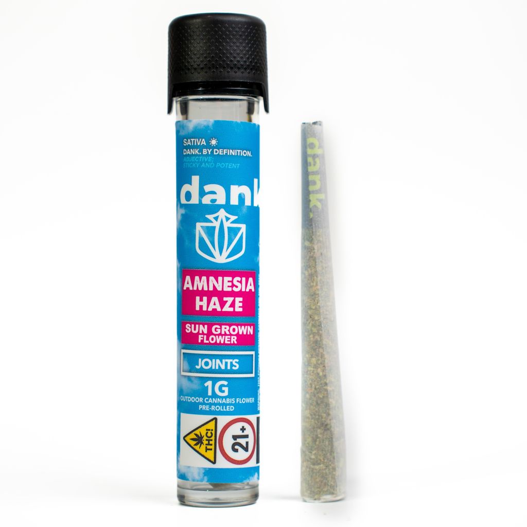 Amnesia Haze 1g Sungrown Preroll | Dank