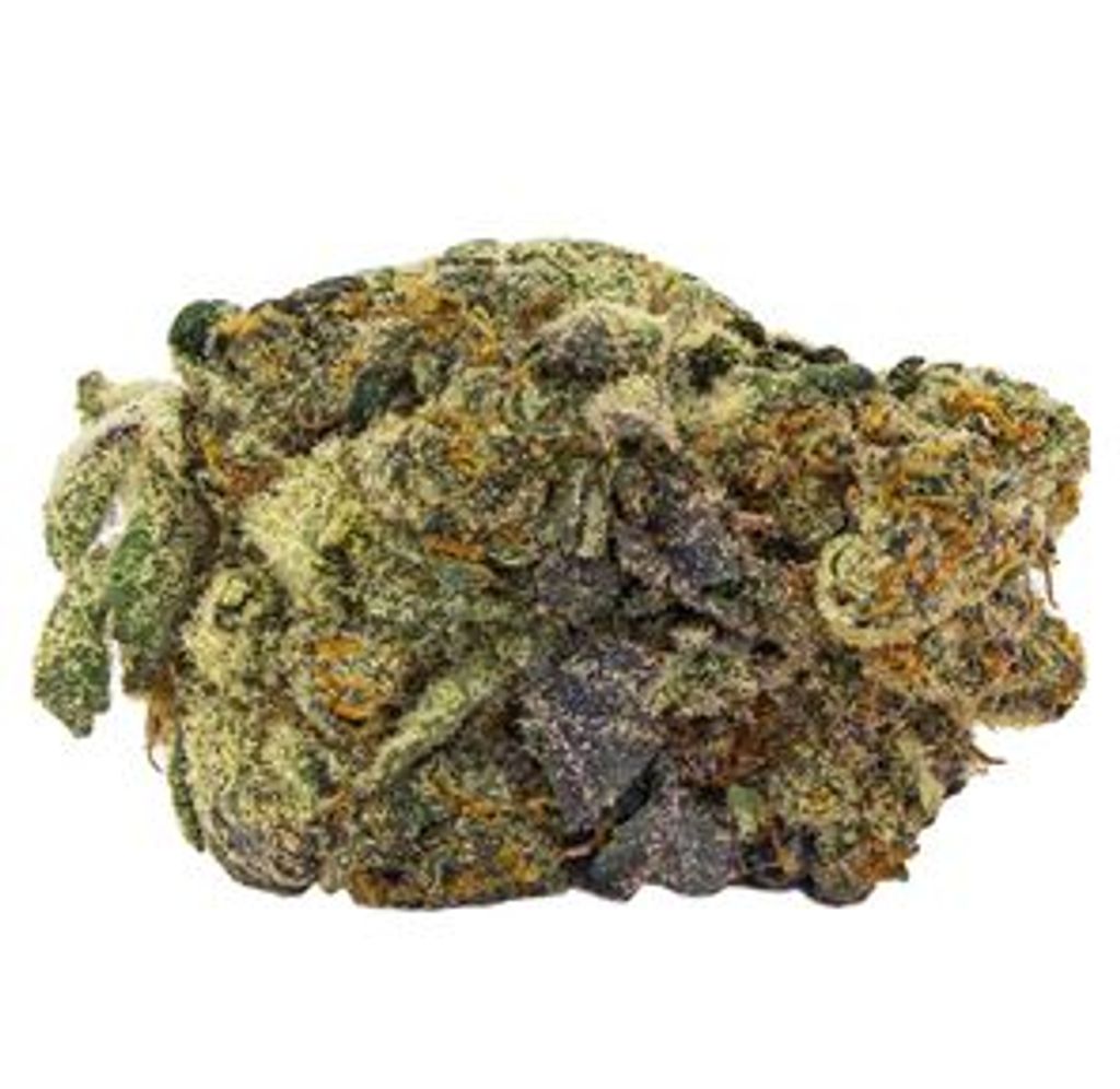 Great White Shark - High Five