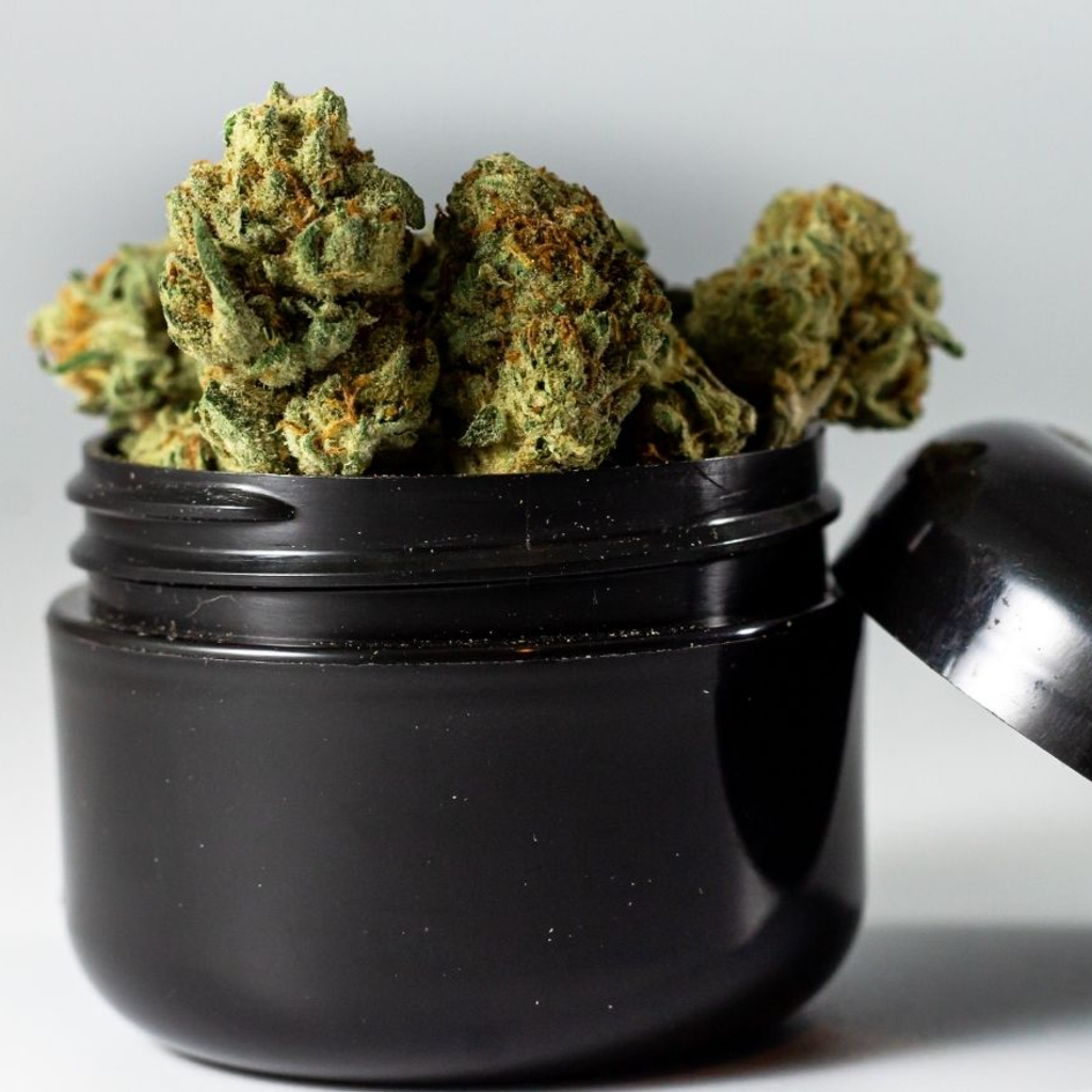 Cannabis Delivery vs. In-Store Pickup in Ottawa: Which Is Right for You?
