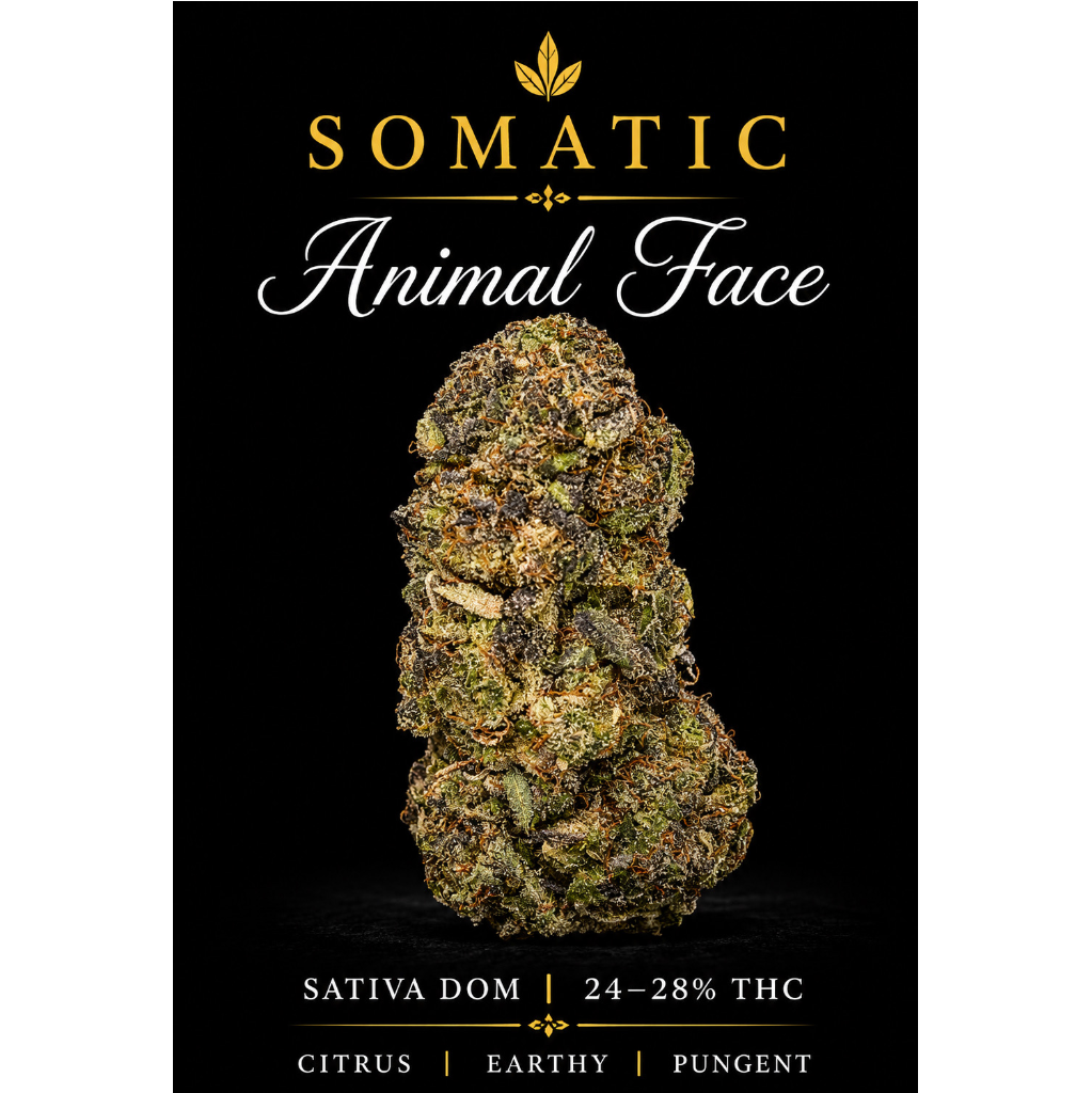 Animal Face | 24-28% THC | SATIVA | $60 an oz | $85 for 2 ozs | $140 for 4oz | 