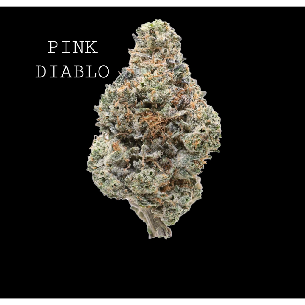 PINK DIABLO
