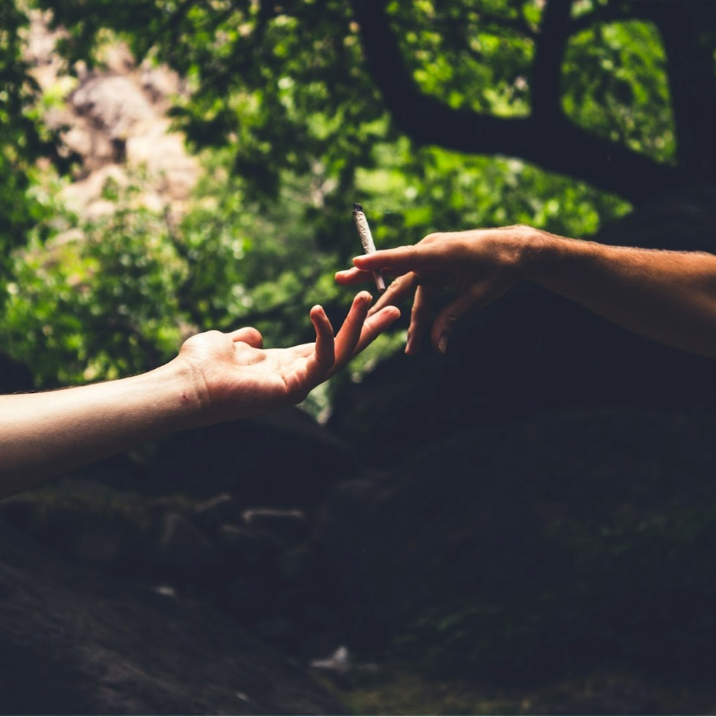 How to Choose a Reliable Recreational Weed Delivery Service