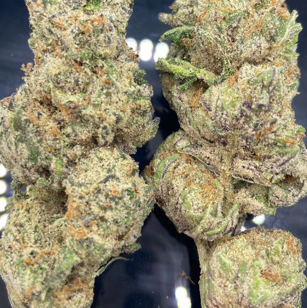 *NEW* Master Splinter